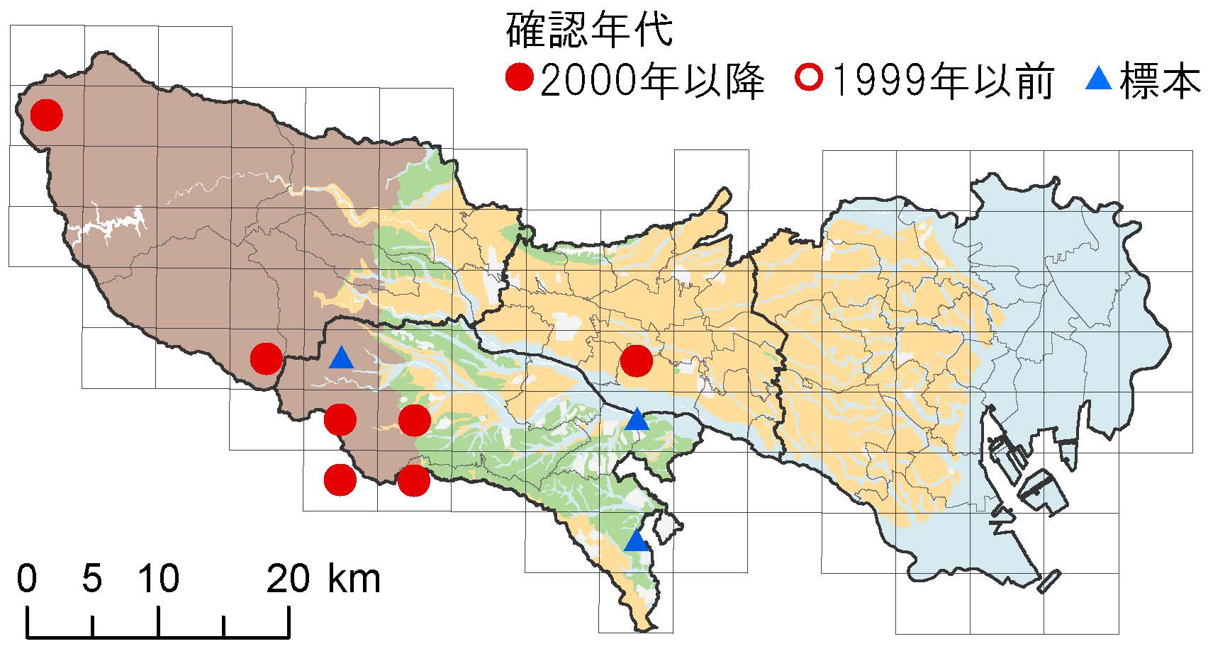 オンラインアウトレット クマガイソウ(黄色) インテリア・住まい・小物